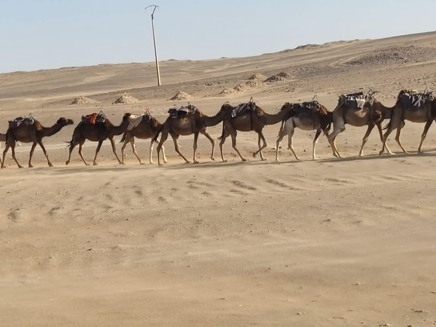 From Fes: 2 Day Round Trip Via Merzouga Desert & Camel Trek - Ziz Valley and Erfoud add variety before Merzouga