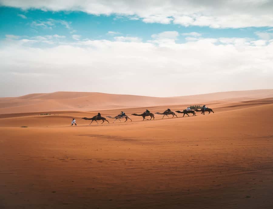 From Fes: 3-Day 2-Night Desert Tour to Marrakech - Sunset at Erg Chebbi and the desert camp