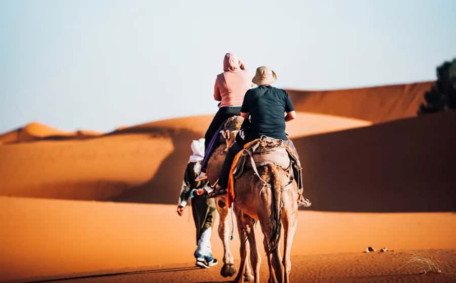From Fes: 3-Day Luxury Desert Tour to Marrakech via Merzouga - From Fes to Ifrane, Morocco’s cool mountain start