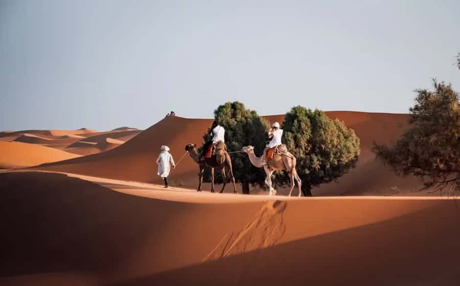 From Fes: 3-Day Luxury Desert Tour to Marrakech via Merzouga - What the desert night is really like