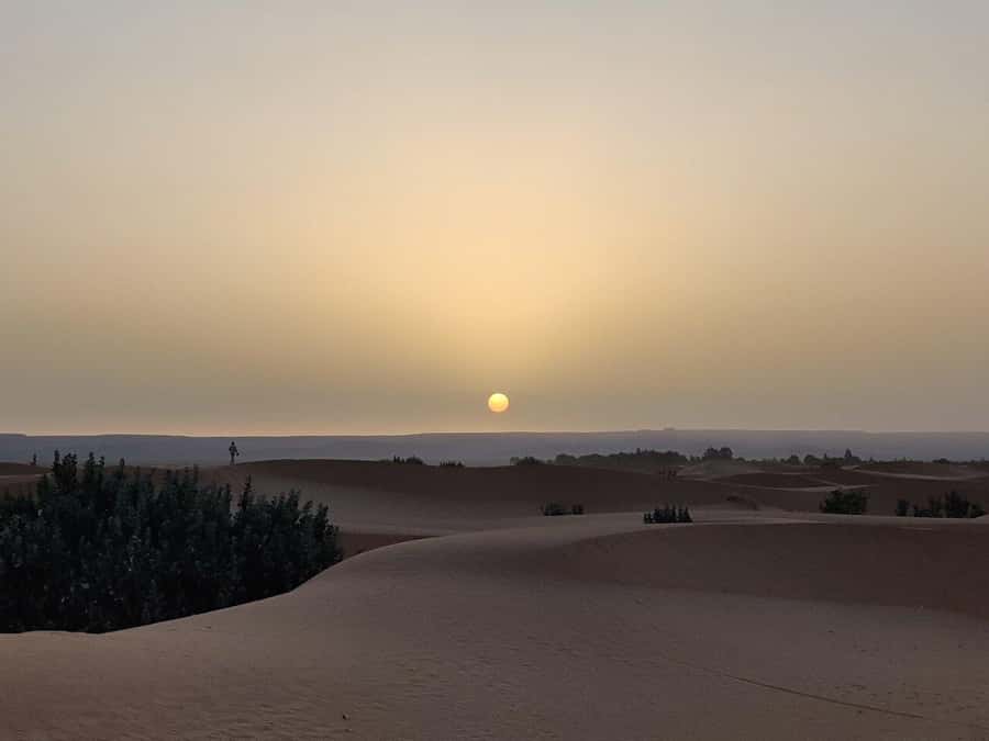 From Fes: 3-Day Luxury Desert Tour to Marrakech via Merzouga - Crossing Tizi-N-Tichka into Marrakech