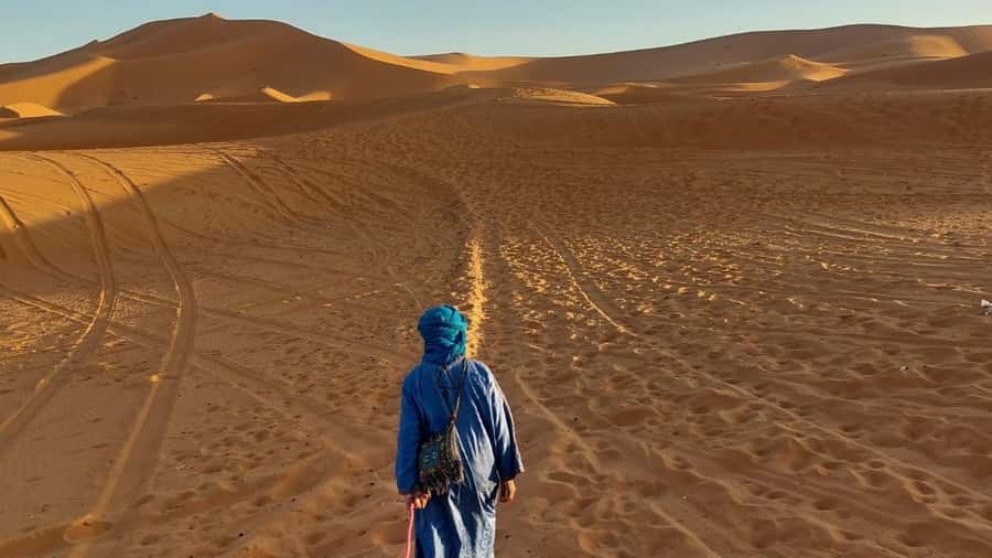From Fes: 3 Days and 2 Nights Desert Trip to Marrakech - Day one: cedar forest, mountain roads, and the Sahara
