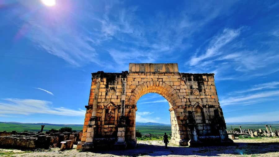 From Fes: Meknes Volubilis and Moulay Idriss Day Trip - Who should book this excursion?