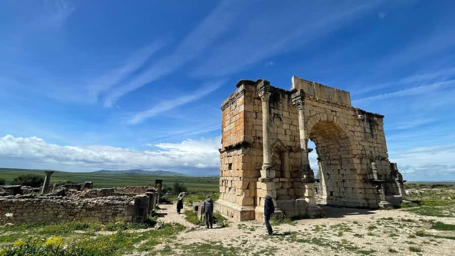 From Fes: Meknes Volubilis and Moulay Idriss Day Trip - Timing, comfort, and practical tradeoffs