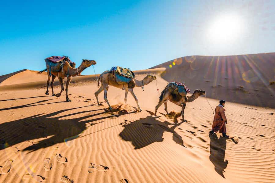 From Fes to Marrakech: 3-Day Sahara Desert Discovery Tour - What the three-day route really feels like