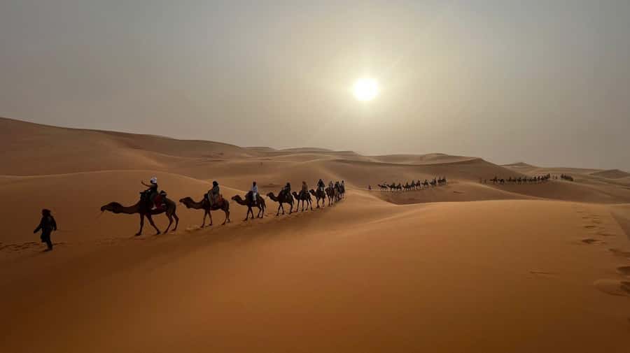 From Fes to Marrakech: 3-Day Sahara Desert Discovery Tour - Day 2: Sunrise, Todra Gorge, and the Road of a Thousand Kasbahs