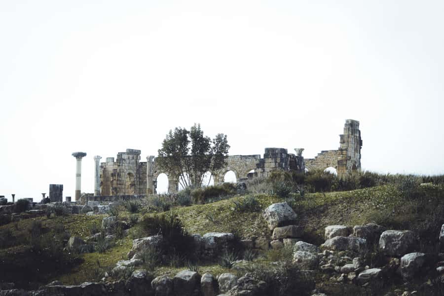 From Fes: Volubilis, Moulay Idriss and Meknes Full-Day Trip - Moulay Idriss Zerhoun: a short stop with real spiritual weight