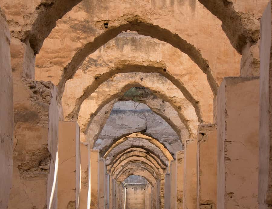 From Fes: Volubilis, Moulay Idriss and Meknes Full-Day Trip - Volubilis: the reason to take the trip