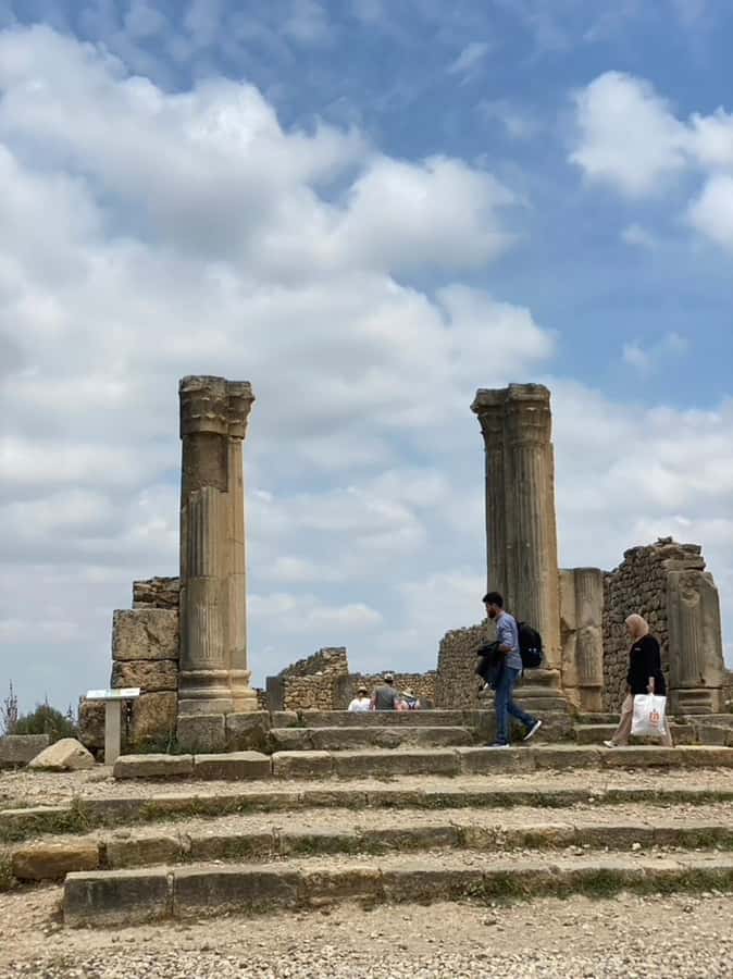 From Fes: Volubilis, Moulay Idriss, & Meknes Full-Day Trip - Meknes: imperial gates, medina streets, and free time