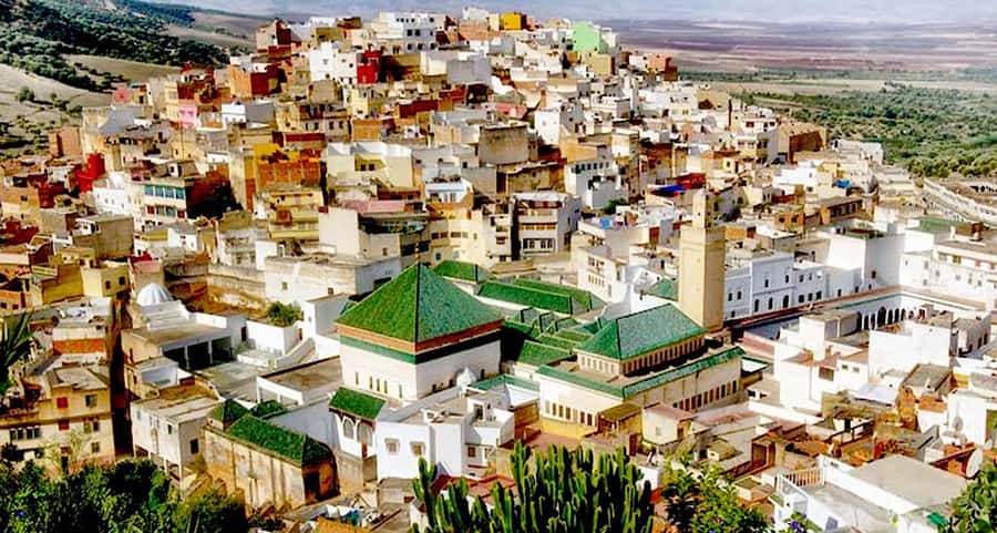 From Fes: Volubilis, Moulay Idriss, & Meknes Full-Day Trip - Volubilis: mosaics, columns, and open Roman ruins