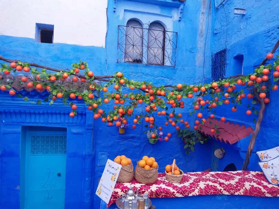 From Fez: Day Tour to the Blue Town of Chefchaouen - Should you book the Fez to Chefchaouen tour?