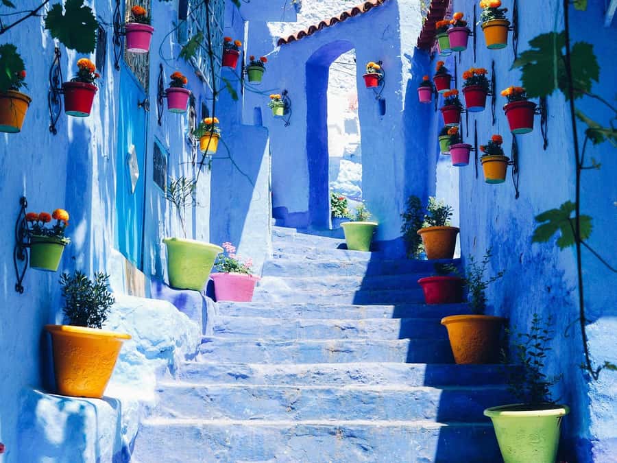 From Fez: Day Tour to the Blue Town of Chefchaouen - A first walk through Chefchaouen’s blue medina