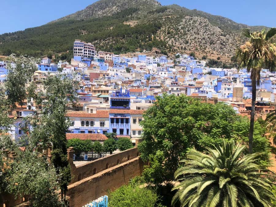 From Fez: Day Tour to the Blue Town of Chefchaouen - Three hours to eat, shop, and wander alone