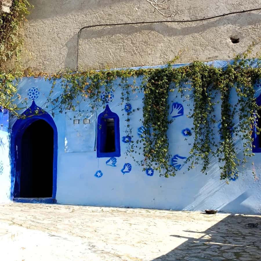 From Fez : Memorable Day Trip to Chefchaouen the Blue City - The three-and-a-half-hour drive from Fez