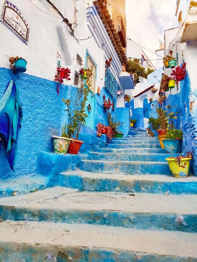 From Fez : Memorable Day Trip to Chefchaouen the Blue City - Meeting near Bab Boujloud or Recif