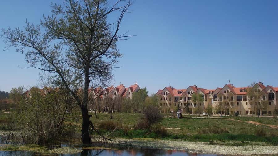 From Fez: Middle Atlas Mountains Day Trip - Ifrane, French-style streets, and the stone lion