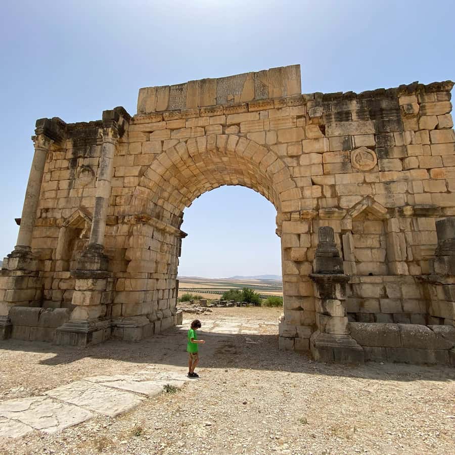 From Fez: Volubilis Moulay Idriss and Meknes Day Trip - A brief look at sacred Moulay Idriss