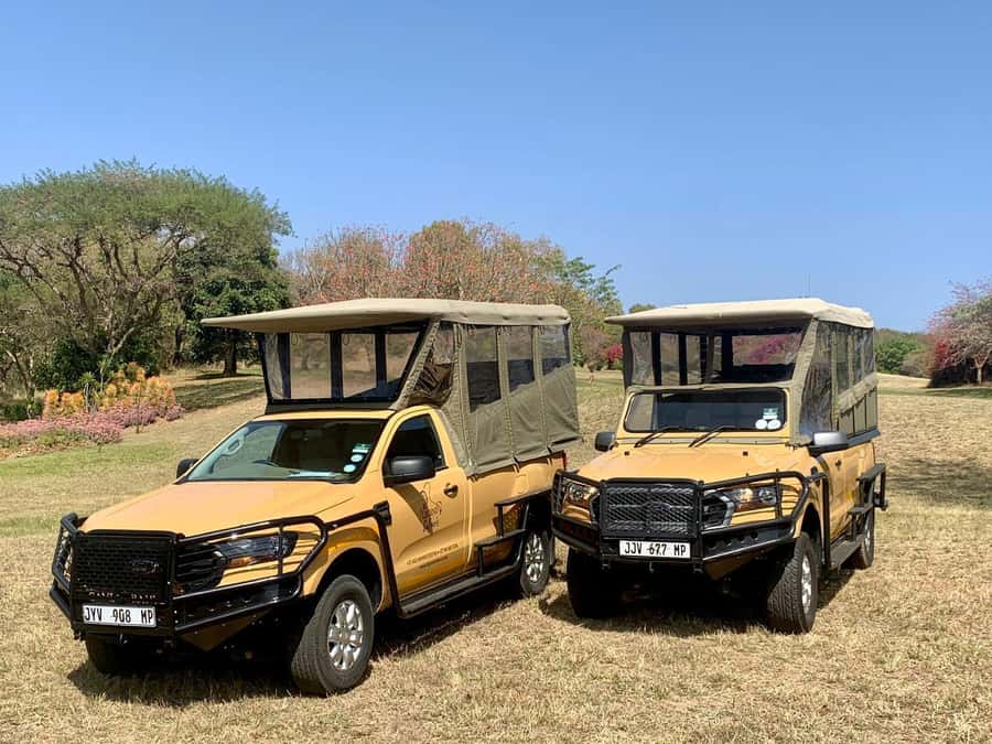 From Hazyview: Kruger National Park Full-Day Safari - Why this Kruger day trip works from Hazyview