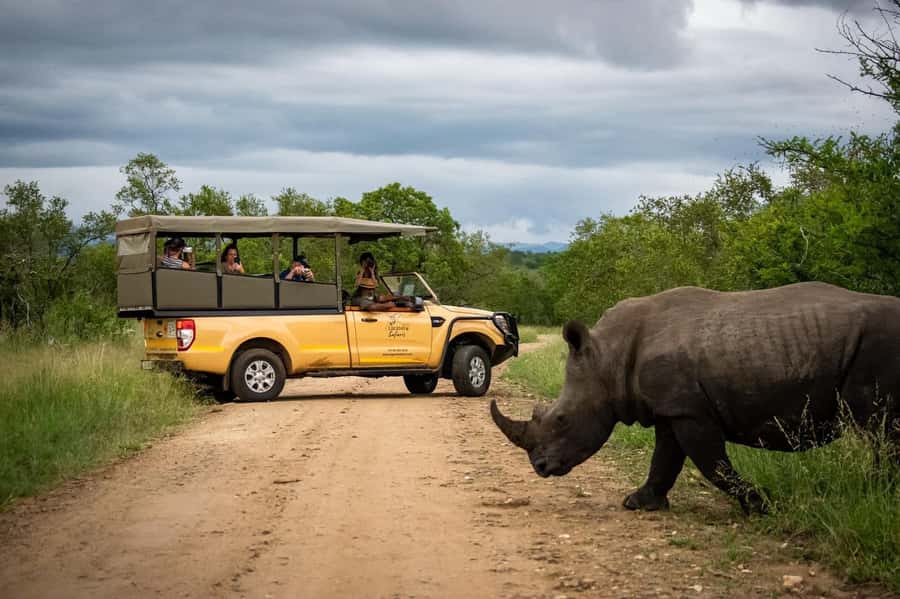 From Hazyview: Kruger National Park Full-Day Safari - The 5:00 AM start and first light at Phabeni Gate
