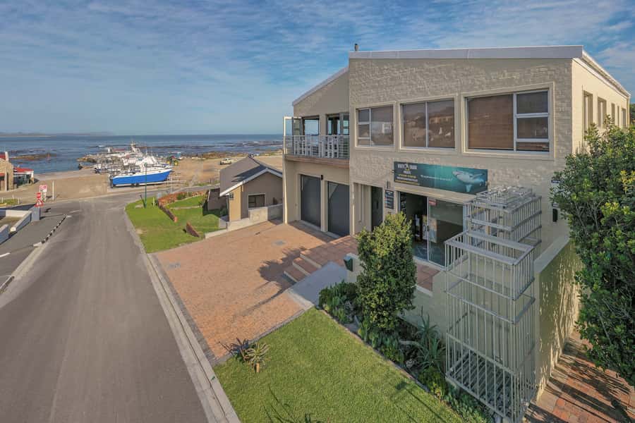 From Hermanus or Cape Town: Shark Cage Diving Experience - The key facts at a glance