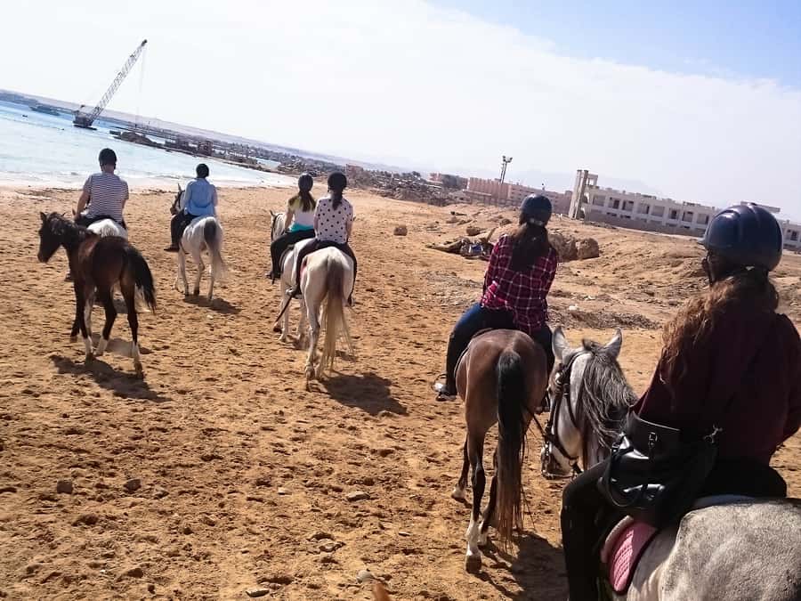 From Hurghada: Makadi Bay Horse Riding Tour - Practical clothing and comfort advice