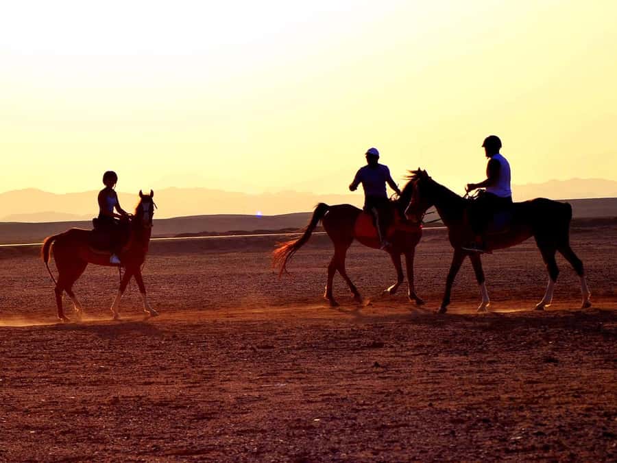 From Hurghada: Makadi Bay Horse Riding Tour - Why riding from Makadi Bay feels different