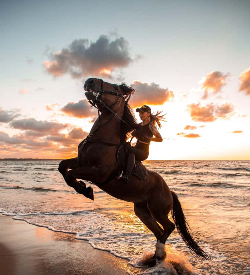 From Hurghada: Makadi Bay Horse Riding Tour - The arrival briefing and horse matching