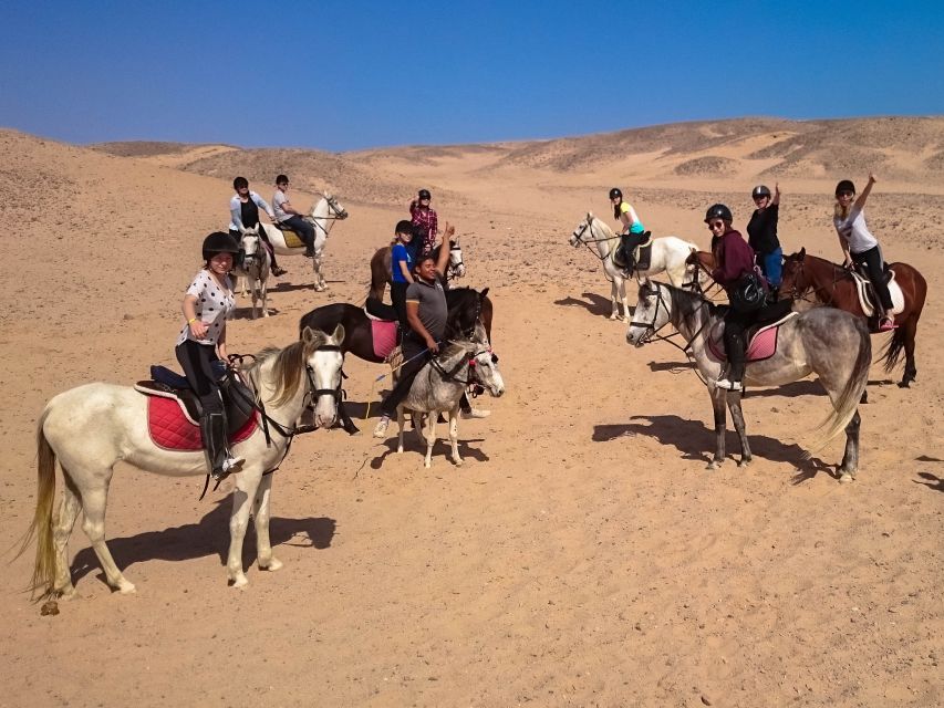 From Hurghada: Makadi Bay Horse Riding Tour - Sunset, dinner, live shows, and stargazing