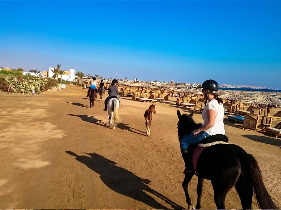 From Hurghada: Makadi Bay Horse Riding Tour - What the guides add to the experience