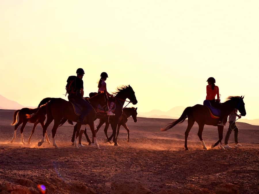 From Hurghada: Makadi Bay Horse Riding Tour - Choosing between the two-hour, four-hour, and combo rides