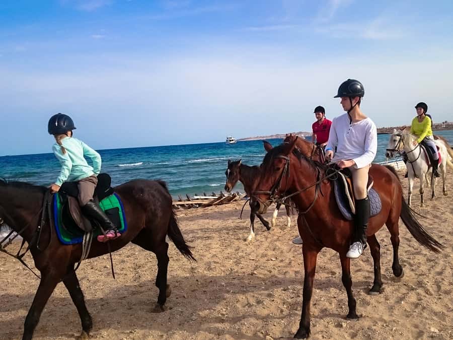 From Hurghada: Red Sea Sunrise and Desert Horseback Riding - Sunset, dinner, and stargazing