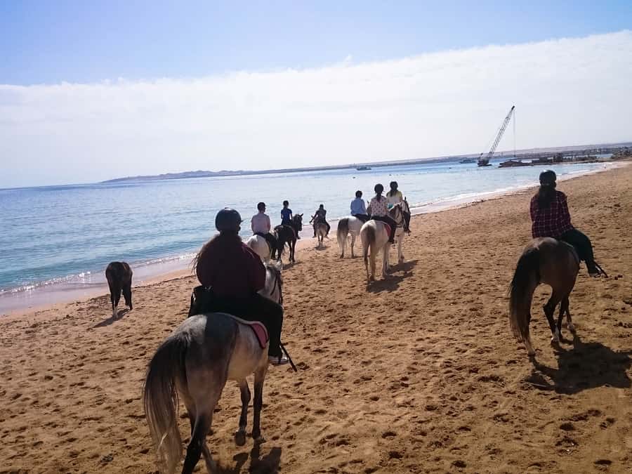 From Hurghada: Red Sea Sunrise and Desert Horseback Riding - The VIP four-hour ride and Red Sea swim