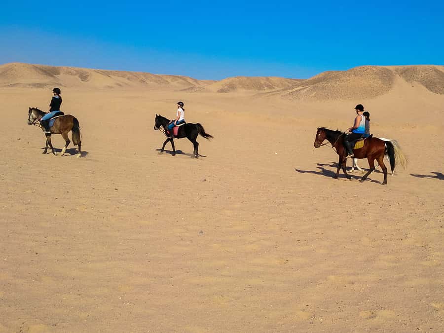 From Hurghada: Red Sea Sunrise and Desert Horseback Riding - How good is the value at $29?