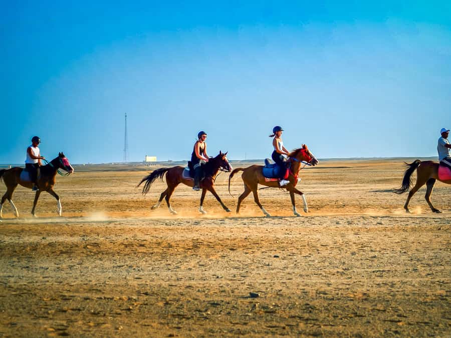 From Hurghada: Red Sea Sunrise and Desert Horseback Riding - Practical booking advice