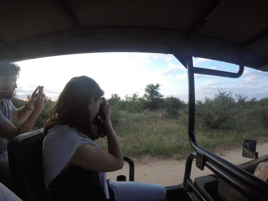 From Johannesburg: 3-Day Budget Tent Kruger Park Safari - Key points to know before you book