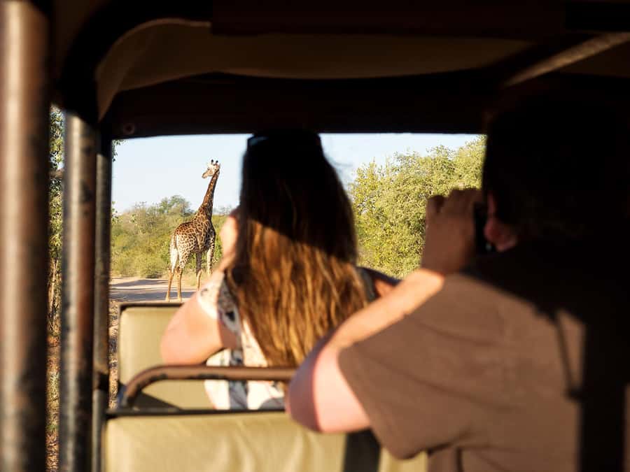 From Johannesburg: 3-Day Budget Tent Kruger Park Safari - Why this safari works for a short South Africa trip