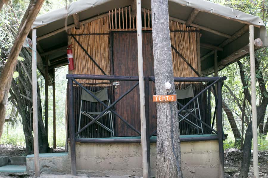From Johannesburg: 3-Day Budget Tent Kruger Park Safari - The Marc’s Camp morning walk