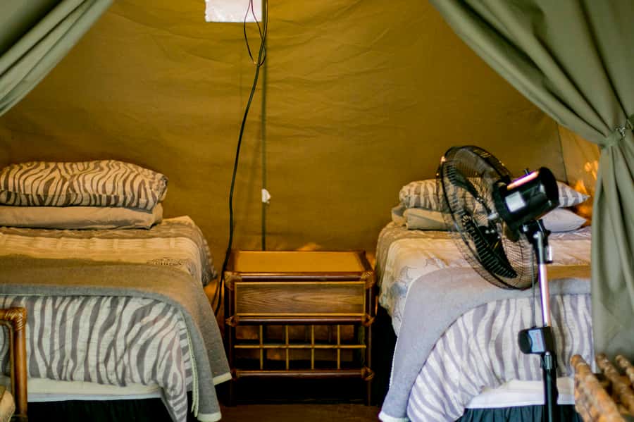 From Johannesburg: 3-Day Budget Tent Kruger Park Safari - What the $653 price includes, and what it does not