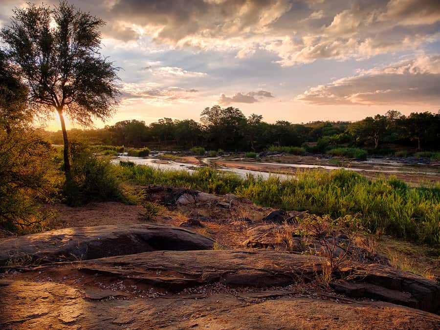 From Johannesburg: 3-Day Budget Tent Kruger Park Safari - The Johannesburg pickup and long road to Tremisana