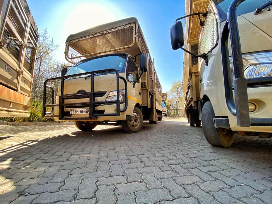 From Johannesburg: Lion & Safari Park Half-Day Tour - What the $167 price really covers