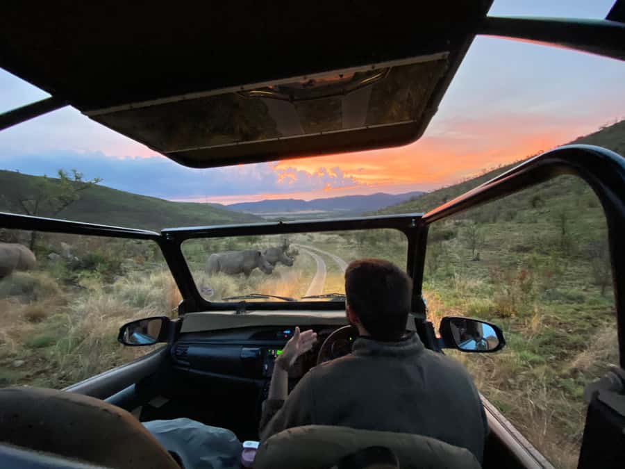 From Johannesburg: Pilanesberg Nature Reserve Game Safari - Entering Pilanesberg in an open safari vehicle