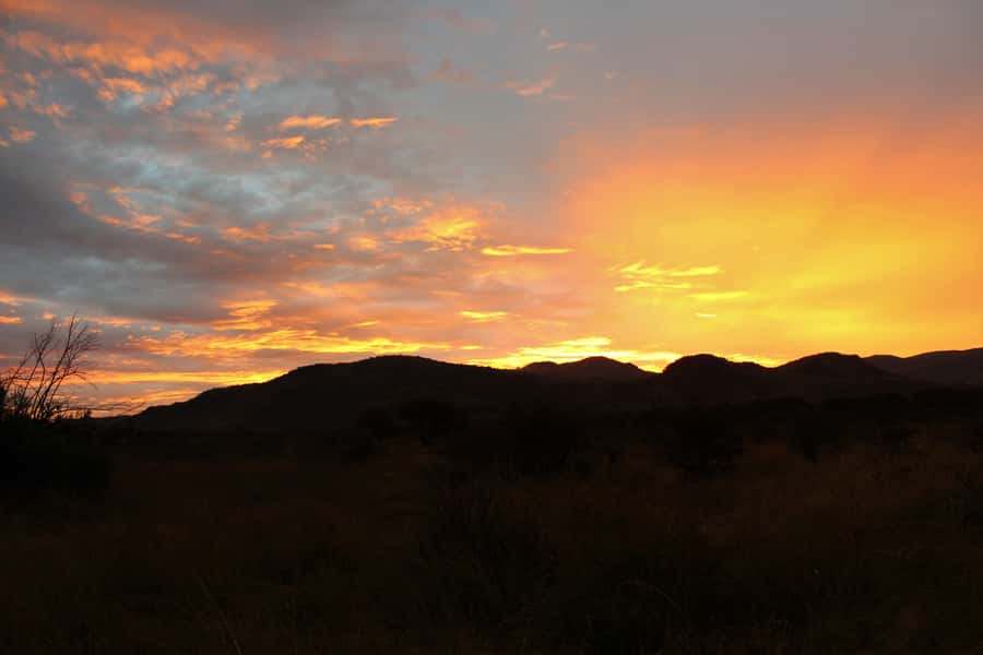 From Johannesburg: Pilanesberg Nature Reserve Game Safari - What the $186 price really includes