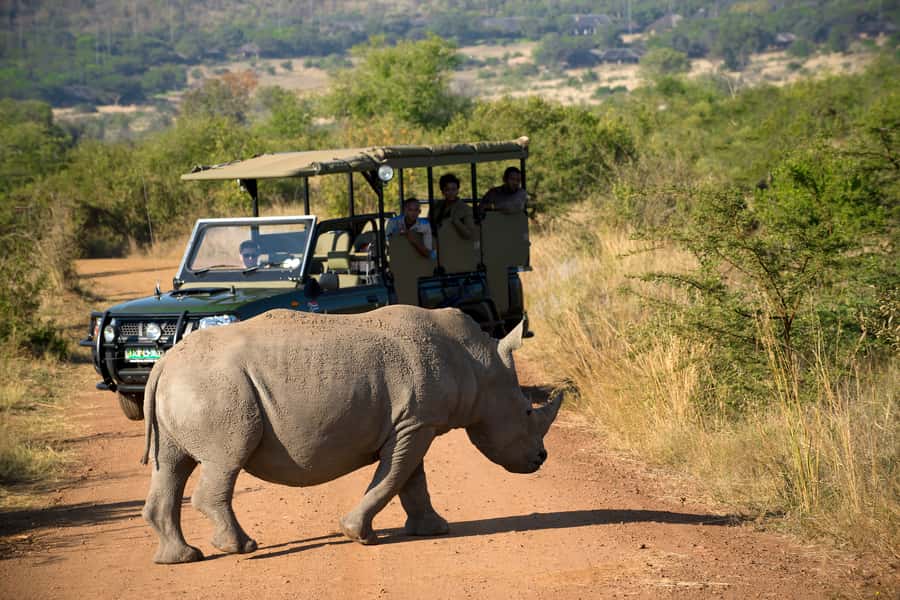 From Johannesburg: Pilanesberg Nature Reserve Game Safari - The early pickup and ride from Johannesburg