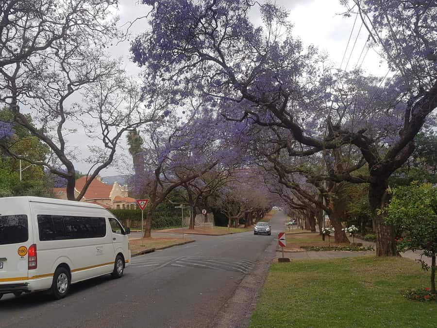 From Johannesburg: Pretoria Half Day Tour - The Voortrekker Monument in its nature reserve