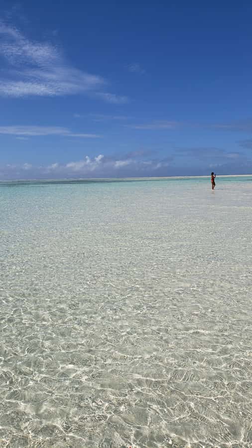 From Kendwa: Mnemba Boat Trip and Dolphin Snorkel Adventure - At a glance