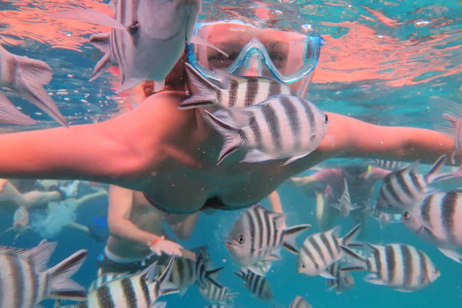 From Kendwa: Mnemba Boat Trip and Dolphin Snorkel Adventure - The temporary white sandbank