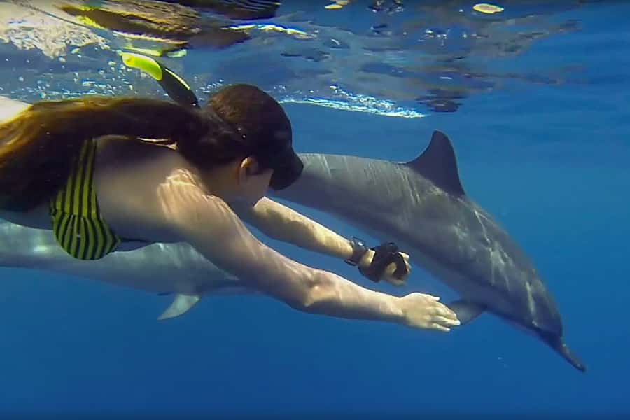 From Kendwa: Mnemba Boat Trip and Dolphin Snorkel Adventure - Searching for dolphins near Nungwi