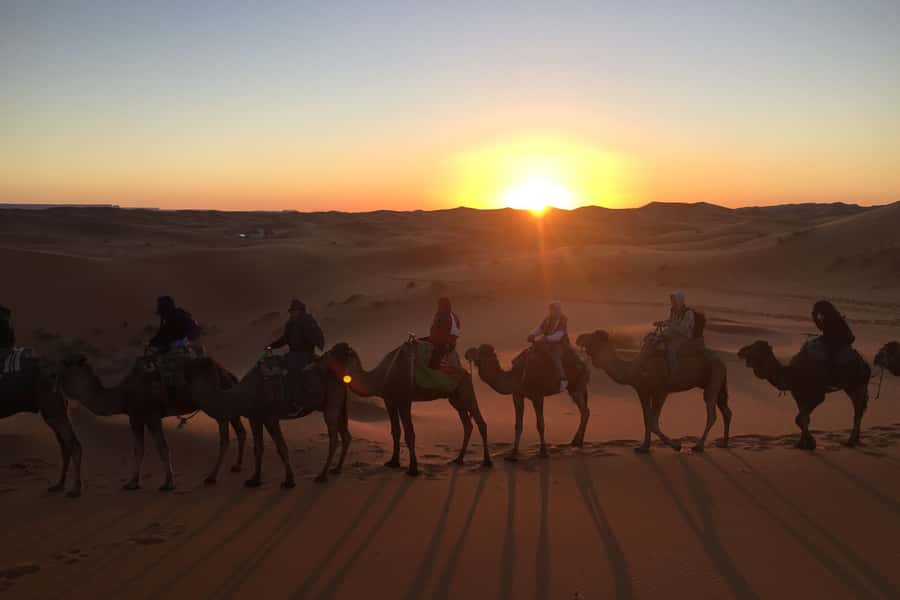 From Marrakech: 2-Day Sahara Tour to Zagora & Ait Ben Haddou - Through Ouarzazate and the Draa Valley