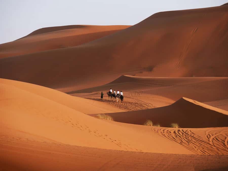 From Marrakech: 3-Day Desert Tour to Agadir - Todra Gorge and Tinghirs oasis