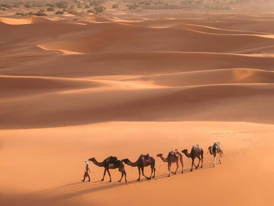 From Marrakech: 3-Day Merzouga and Sahara Desert Tour - From Marrakech into the Atlas Mountains